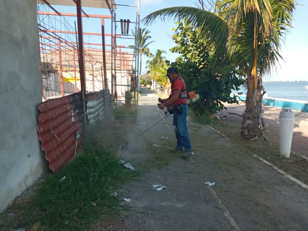 TITULAR DE LA SEDUMOP RECORRE COCTELEROS