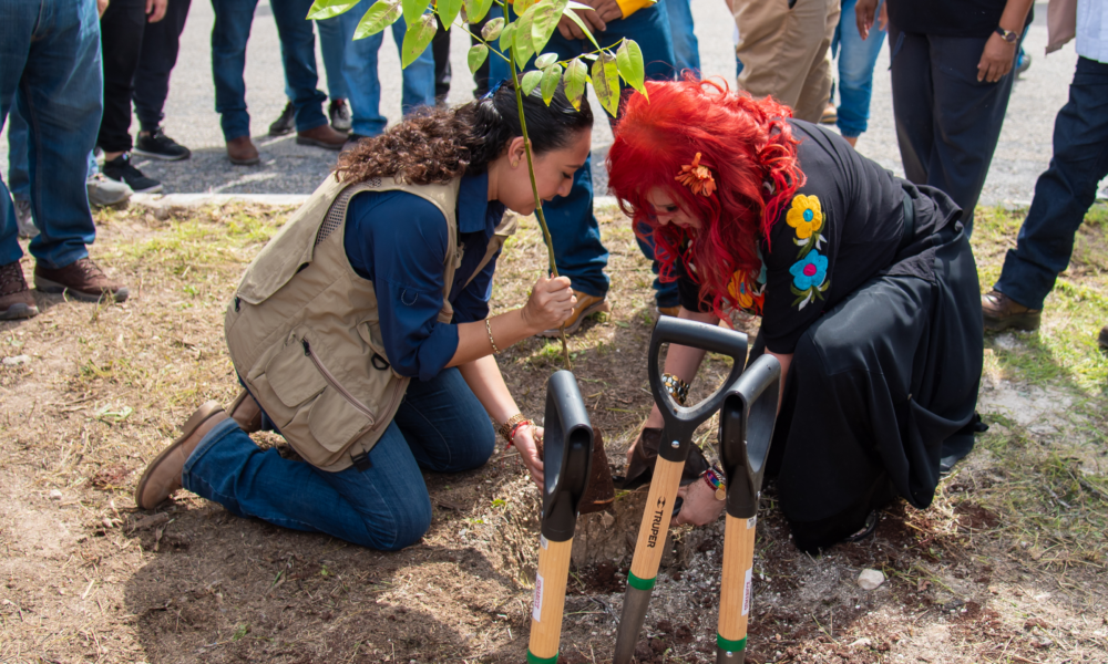 LA GOBERNADORA, LAYDA SANSORES SAN ROMÁN, PUSO EN MARCHA LA CAMPAÑA DE REFORESTACIÓN “PLANTANDO EL FUTURO” QUE INCUYE 11,935 ARBOLITOS