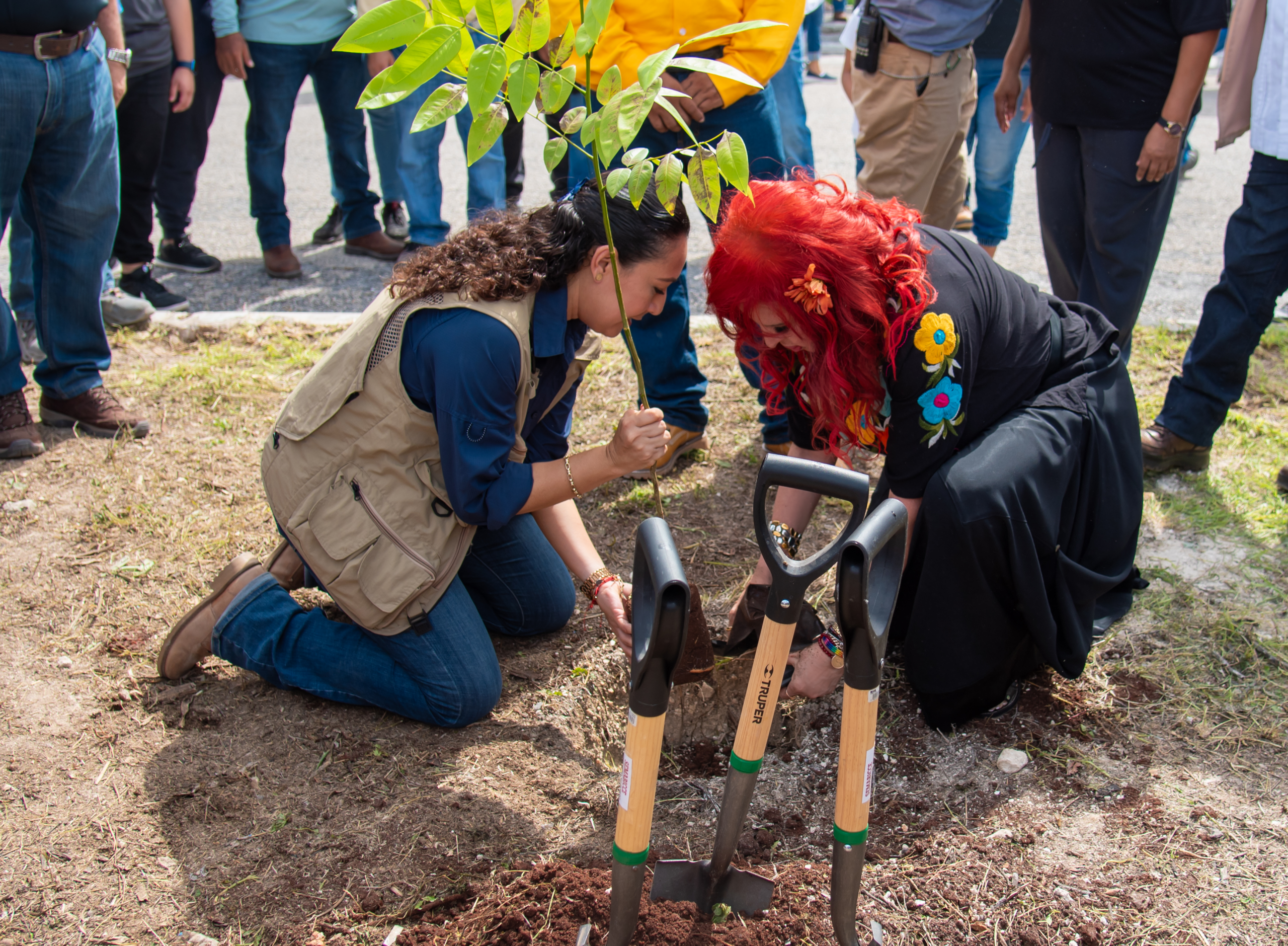 LA GOBERNADORA, LAYDA SANSORES SAN ROMÁN, PUSO EN MARCHA LA CAMPAÑA DE REFORESTACIÓN “PLANTANDO EL FUTURO” QUE INCUYE 11,935 ARBOLITOS