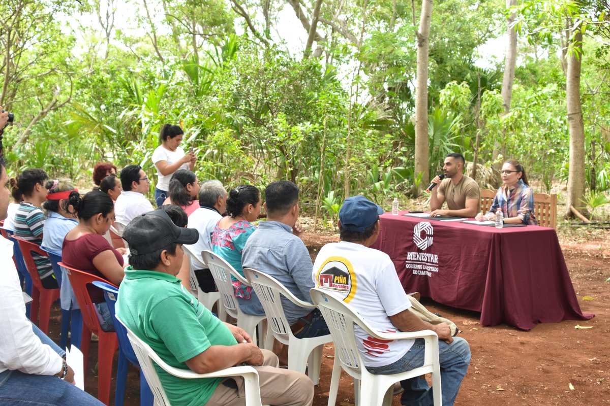 DESTINAN 225 MIL PESOS PARA RESCATAR EL CULTIVO DE PALMA DE JIPI
