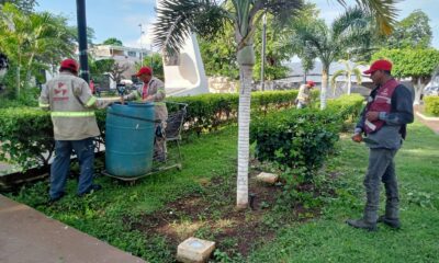 BRIGADAS DE PARQUES Y JARDINES