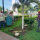 BRIGADAS DE PARQUES Y JARDINES
