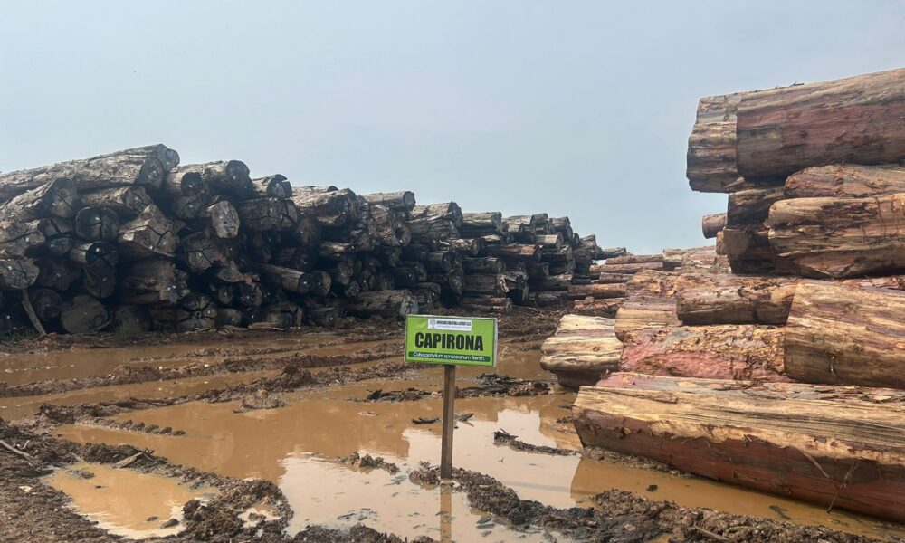 UNA NUEVA ECONOMÍA FORESTAL QUE INCLUYA A LAS COMUNIDADES PARA EL DESARROLLO SUSTENTABLE