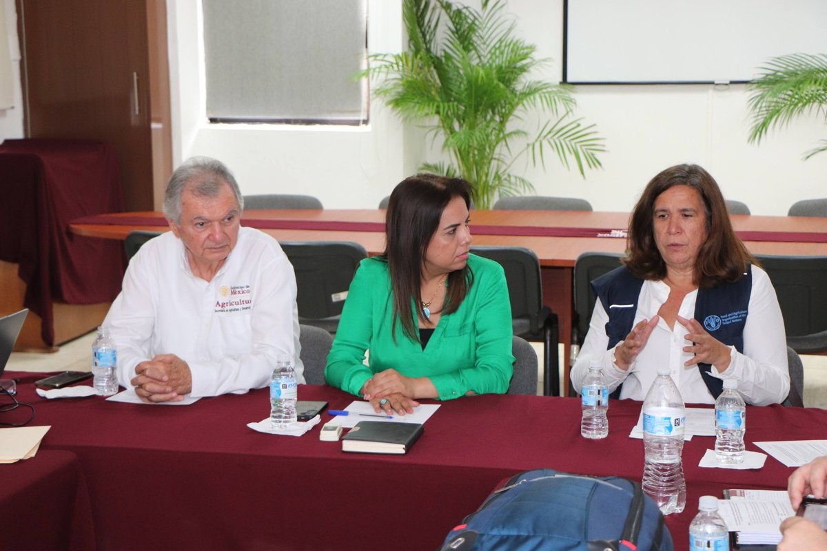 TRANSFORMANDO LA GANADERÍA CAMPECHANA EN VISIÓN SUSTENTABLE Y TRABAJO COORDINADO
