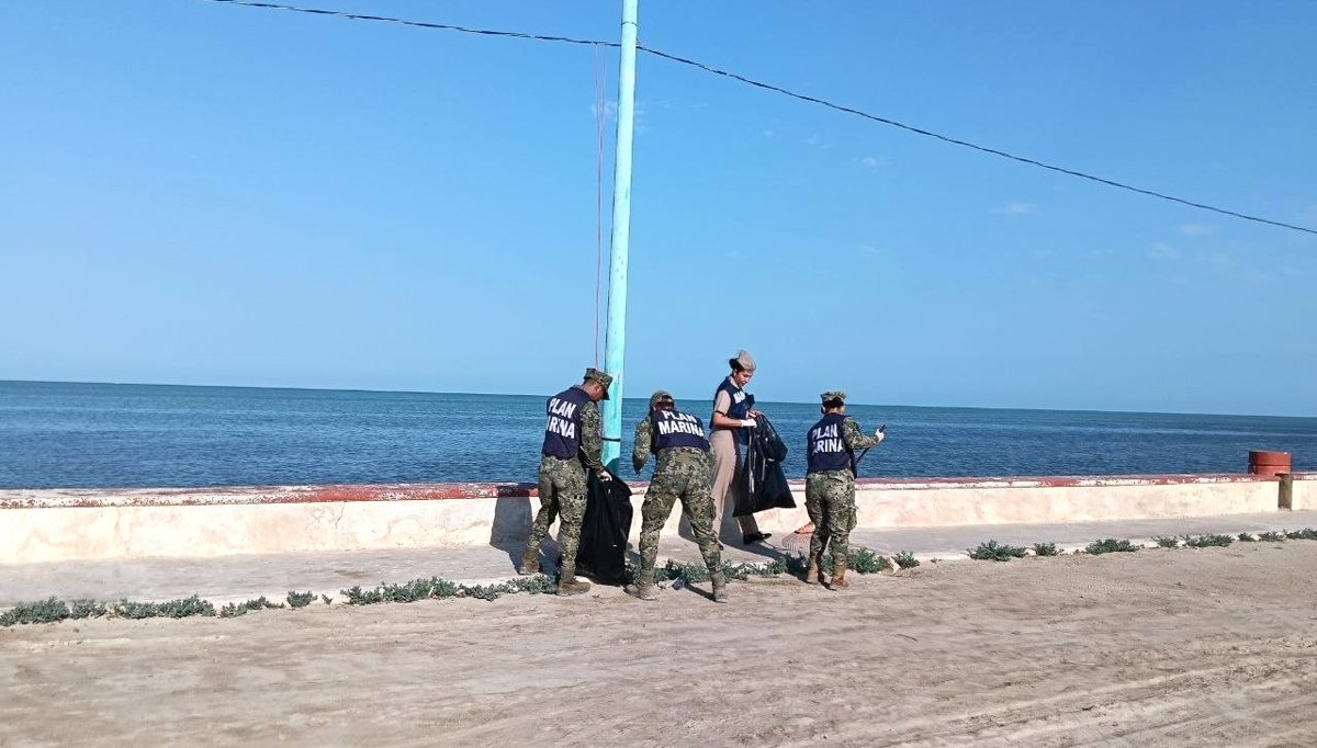 *APICAM ORGANIZA JORNADA DE LIMPIEZA EN ISLA ARENA; SE RECOLECTAN 3.5 TONS DE BASURA Y 125 KG DE PET*
