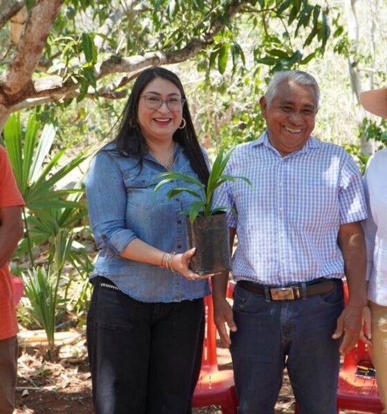 SEMILLAS DE BIENESTAR FORTALECEN TRADICIÓN Y AUTOEMPLEO EN CALKINÍ