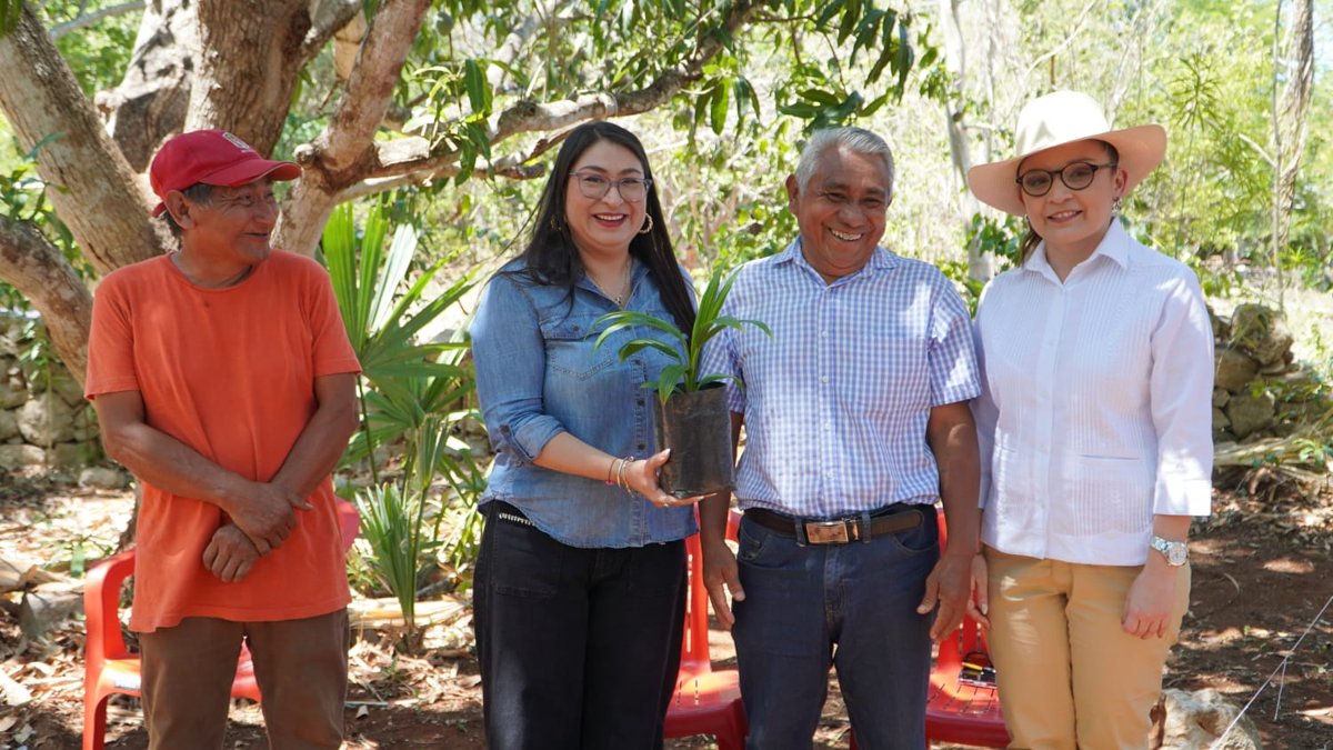 SEMILLAS DE BIENESTAR FORTALECEN TRADICIÓN Y AUTOEMPLEO EN CALKINÍ