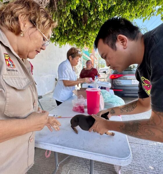 ATENCIÓN PERMANENTE CON SALUD EN TU BARRIO EN EL MUNICIPIO DE CARMEN