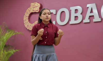 COLEGIO DE BACHILLERES DEL ESTADO DE CAMPECHE