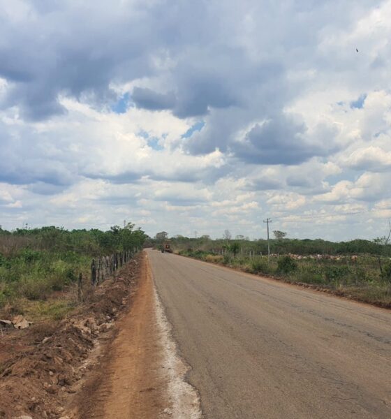 La Secretaría de Desarrollo Urbano, Movilidad y Obras Públicas (SEDUMOP) informa que en