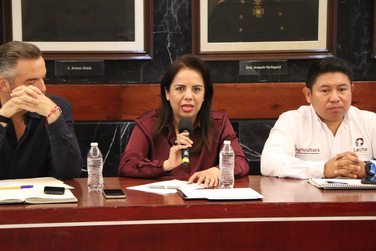 PLAN CAMPECHE FORTALECE LA CADENA PRODUCTIVA LECHERA CON AVANCES HISTÓRICOS EN EL SECTOR GANADERO