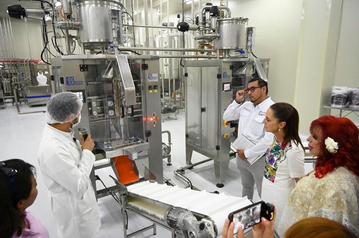 PLAN CAMPECHE FORTALECE LA CADENA PRODUCTIVA LECHERA CON AVANCES HISTÓRICOS EN EL SECTOR GANADERO