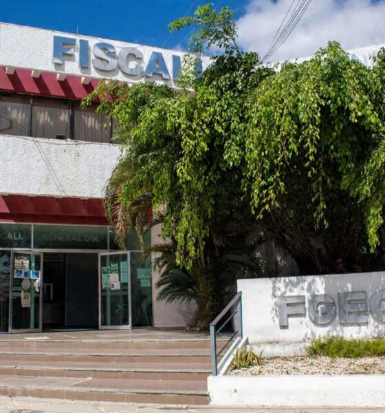 VINCULACIÓN A PROCESO POR DELITOS QUE AFECTAN EL ENTORNO FAMILIAR Y EL DESARROLLO INTEGRAL