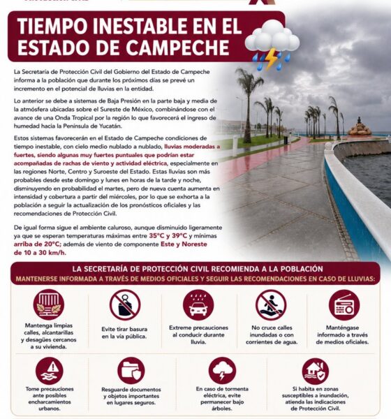 ● Prolongación Avenida Lázaro Cárdenas Número 39 "A" entre Avenida José López Portillo y Avenida Héroes de