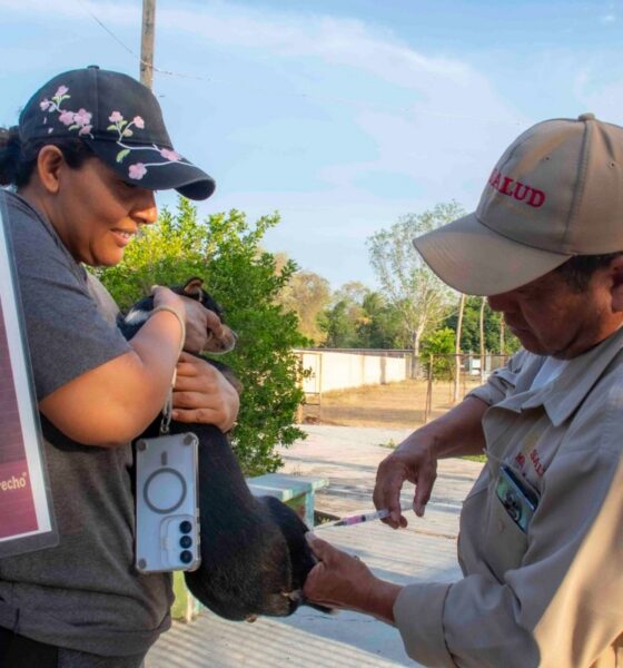 LLEVAN SERVICIOS GRATUITOS DE SALUD EN TU BARRIO A SAN JOSÉ CARPIZO I