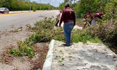 Brigadas de Parques y Jardines de la Secretaría de Desarrollo Urbano, M ovilidad y Obras Públicas