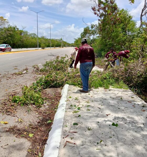 Brigadas de Parques y Jardines de la Secretaría de Desarrollo Urbano, M ovilidad y Obras Públicas