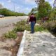 Brigadas de Parques y Jardines de la Secretaría de Desarrollo Urbano, M ovilidad y Obras Públicas