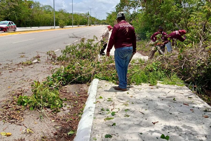 Brigadas de Parques y Jardines de la Secretaría de Desarrollo Urbano, M ovilidad y Obras Públicas