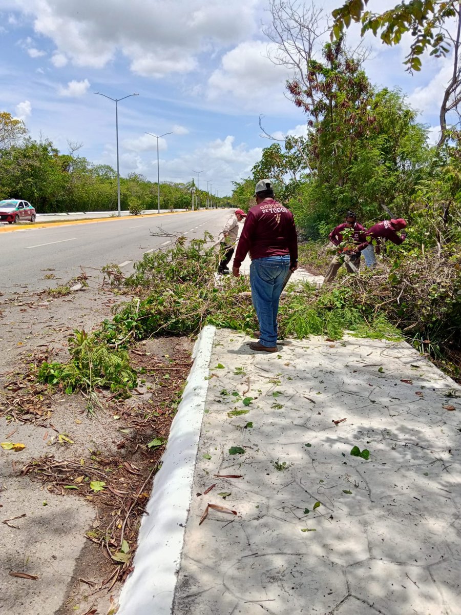 Brigadas de Parques y Jardines de la Secretaría de Desarrollo Urbano, M ovilidad y Obras Públicas