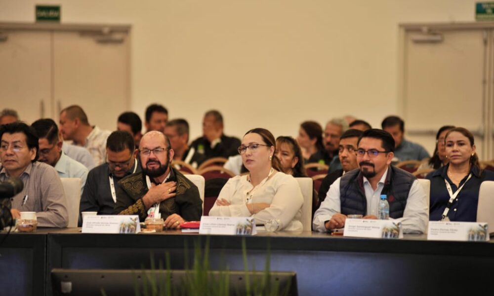 DIRECTOR DEL IEEA CAMPECHE PRESENTA EL PROYECTO “ENCHÚLAME LA PLAZA” DURANTE LA II SESIÓN ORDINARIA CELEBRADA EN SAN LUIS POTOSÍ