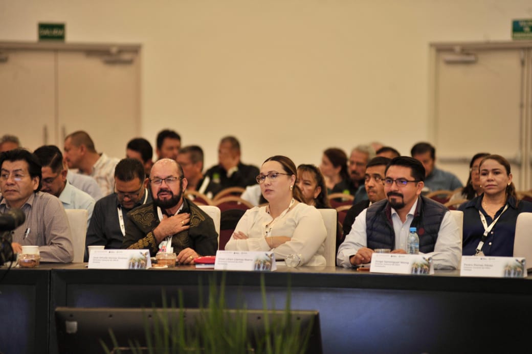 DIRECTOR DEL IEEA CAMPECHE PRESENTA EL PROYECTO “ENCHÚLAME LA PLAZA” DURANTE LA II SESIÓN ORDINARIA CELEBRADA EN SAN LUIS POTOSÍ