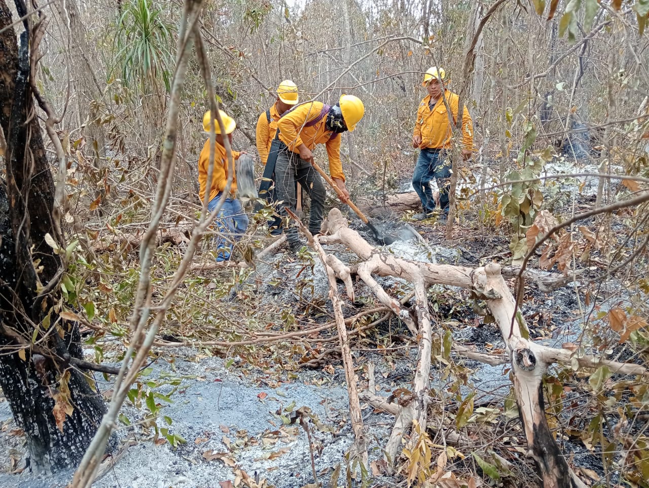 Incendio Forestal Chun Ek