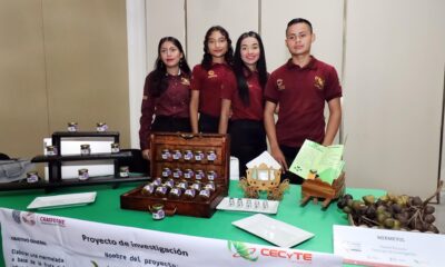 Colegio De Estudios Científicos Y Tecnológicos Del Estado De Campeche