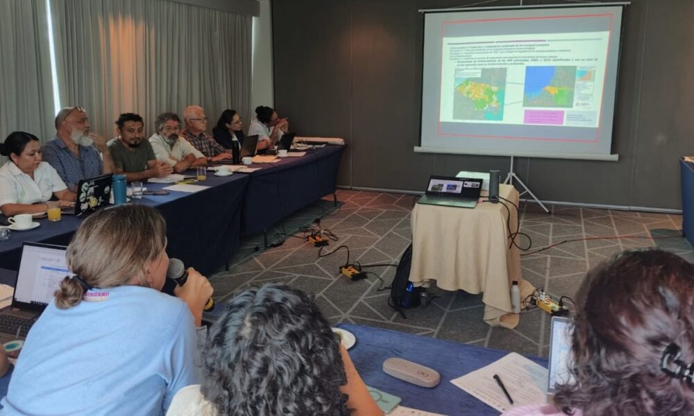 CAMPECHE FORTALECE LA CONSERVACIÓN DE LA SELVA MAYA