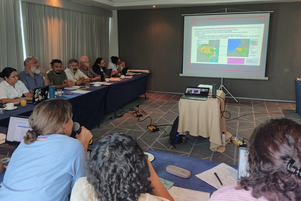 CAMPECHE FORTALECE LA CONSERVACIÓN DE LA SELVA MAYA