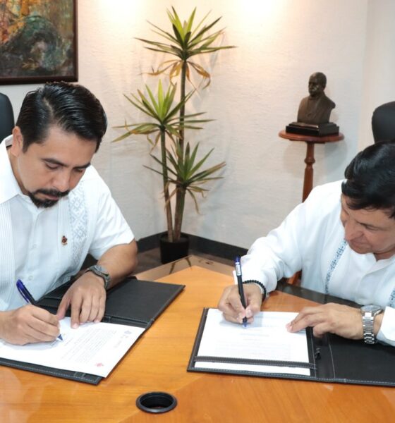 “CONVOCAN A MAESTRAS Y MAESTROS EN SERVICIO ACTIVO A SUMARSE CONTRA EL ANALFABETISMO. ”