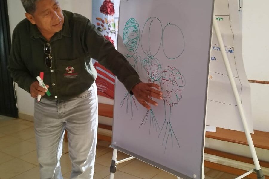 SE PROMUEVEN HUERTOS AGROECOLÓGICOS EN PUEBLO NUEVO