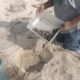 ECLOSIONAN LAS PRIMERAS CRÍAS DE TORTUGA CAREY