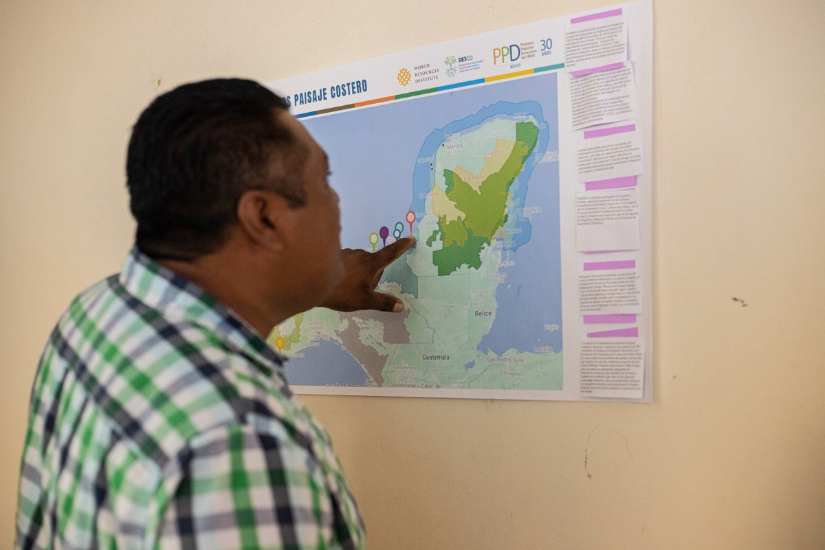 MÚLTIPLES ESFUERZOS EN CAMPECHE PARA CONSERVAR LOS MANGLARES
