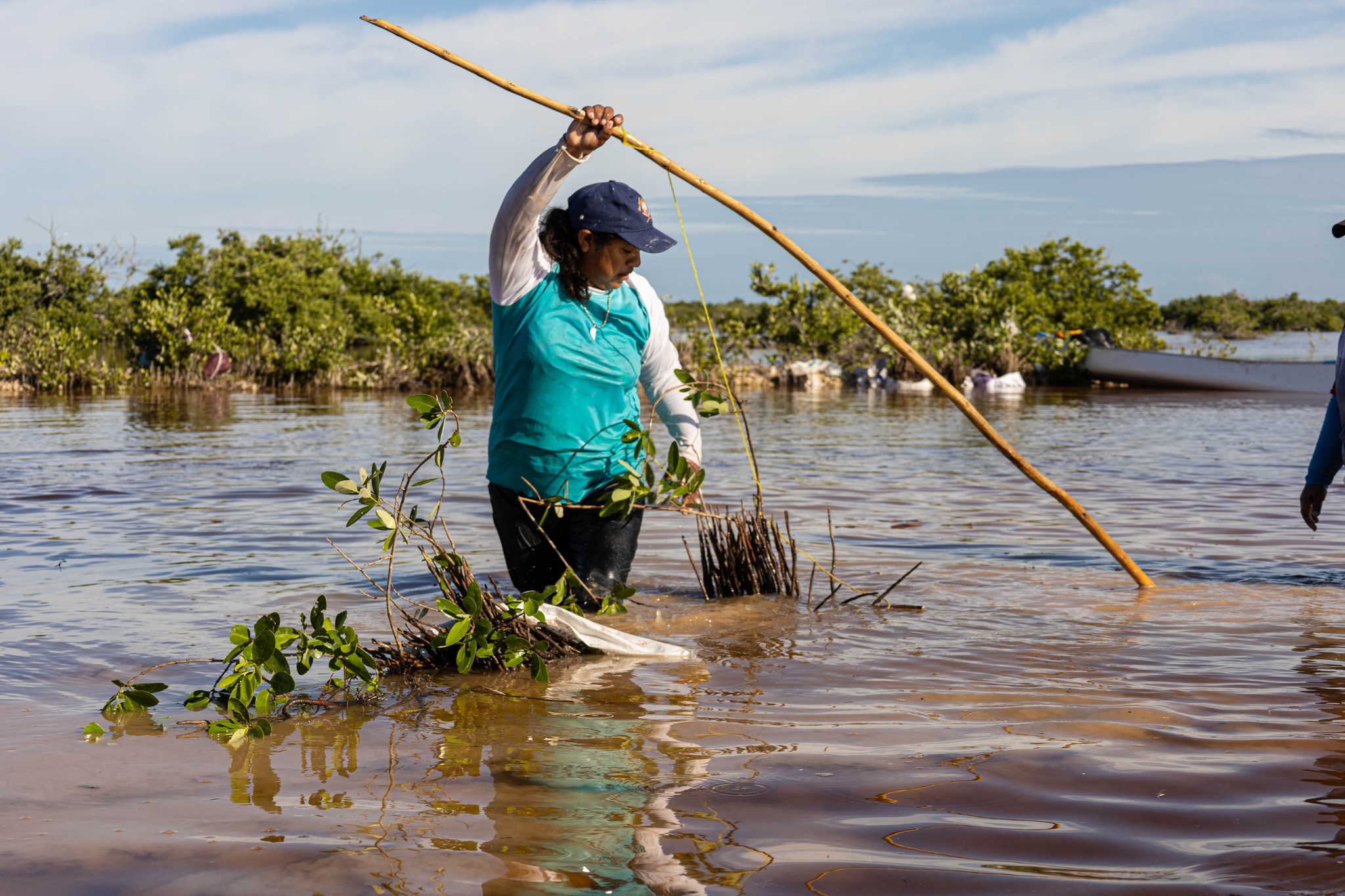 MÚLTIPLES ESFUERZOS EN CAMPECHE PARA CONSERVAR LOS MANGLARES