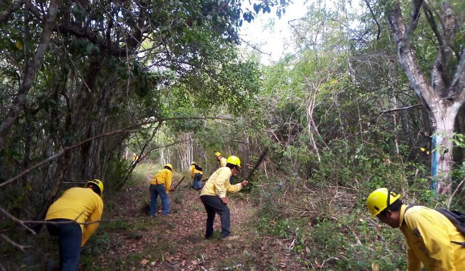 INICIAN PREPARATIVOS RUMBO A LA TEMPORADA DE INCENDIOS FORESTALES