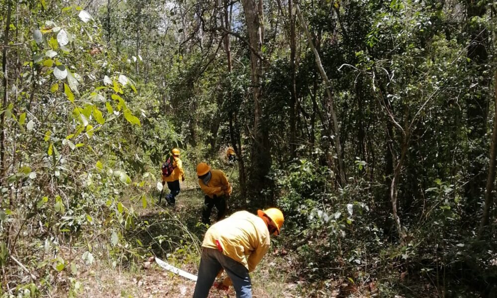 INICIAN PREPARATIVOS RUMBO A LA TEMPORADA DE INCENDIOS FORESTALES