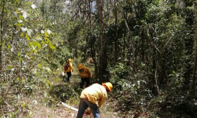 INICIAN PREPARATIVOS RUMBO A LA TEMPORADA DE INCENDIOS FORESTALES