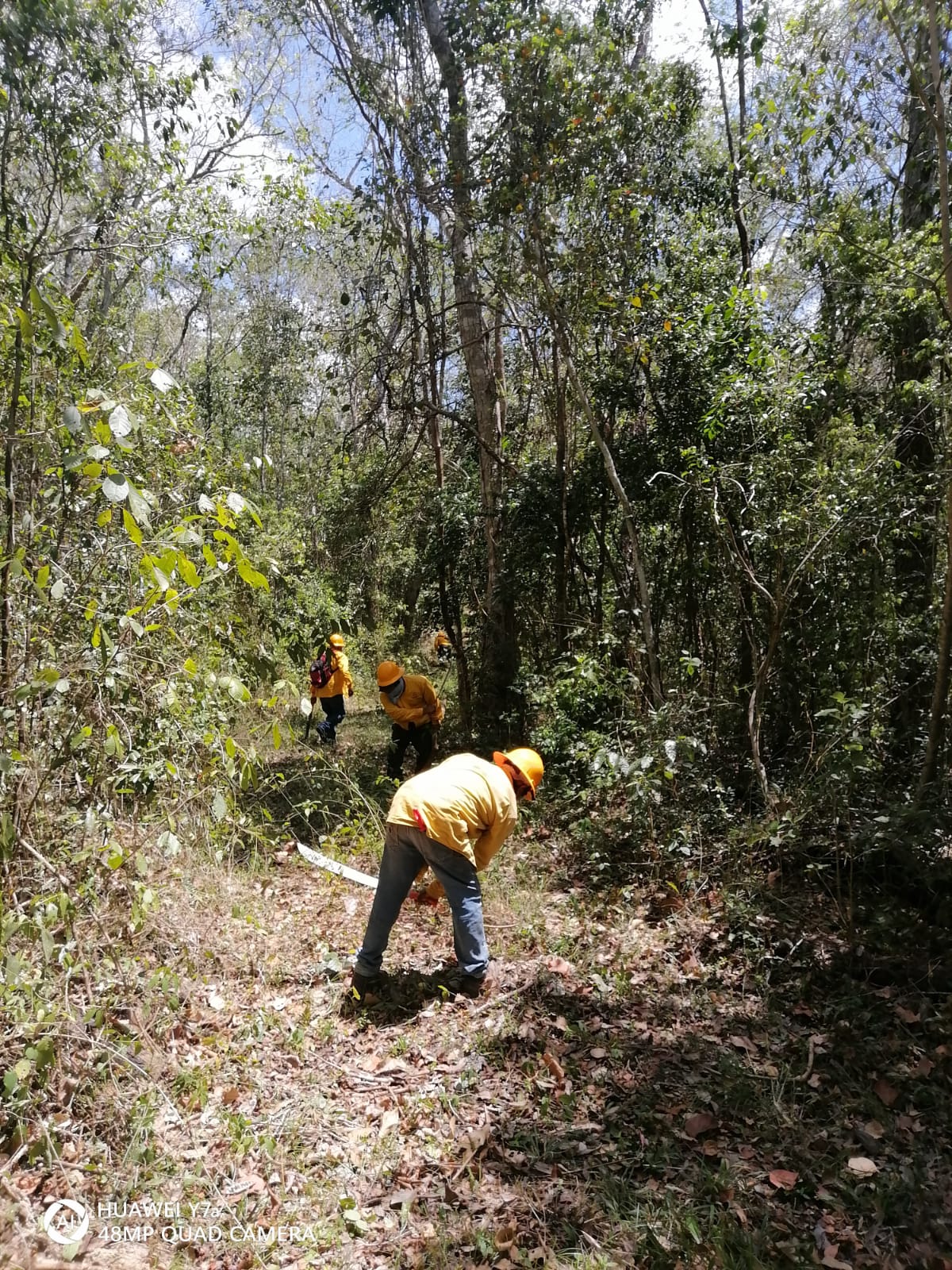 INICIAN PREPARATIVOS RUMBO A LA TEMPORADA DE INCENDIOS FORESTALES