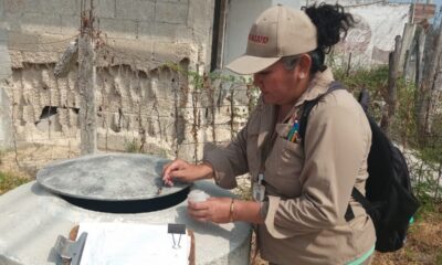 CONTINÚAN LAS ACCIONES CONTRA EL DENGUE EN TODO EL ESTADO