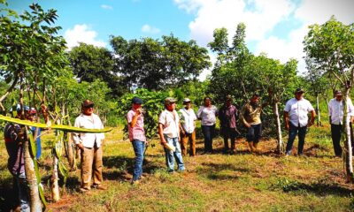 CAPACITACIÓN A PEQUEÑOS Y MEDIANOS PRODUCTORES DE PITAHAYA EN NUNKINÍ