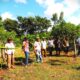 CAPACITACIÓN A PEQUEÑOS Y MEDIANOS PRODUCTORES DE PITAHAYA EN NUNKINÍ