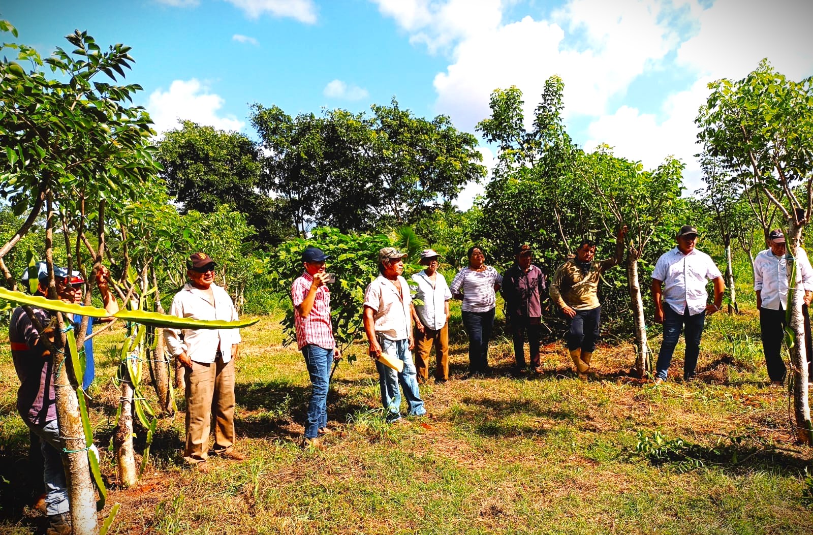 CAPACITACIÓN A PEQUEÑOS Y MEDIANOS PRODUCTORES DE PITAHAYA EN NUNKINÍ