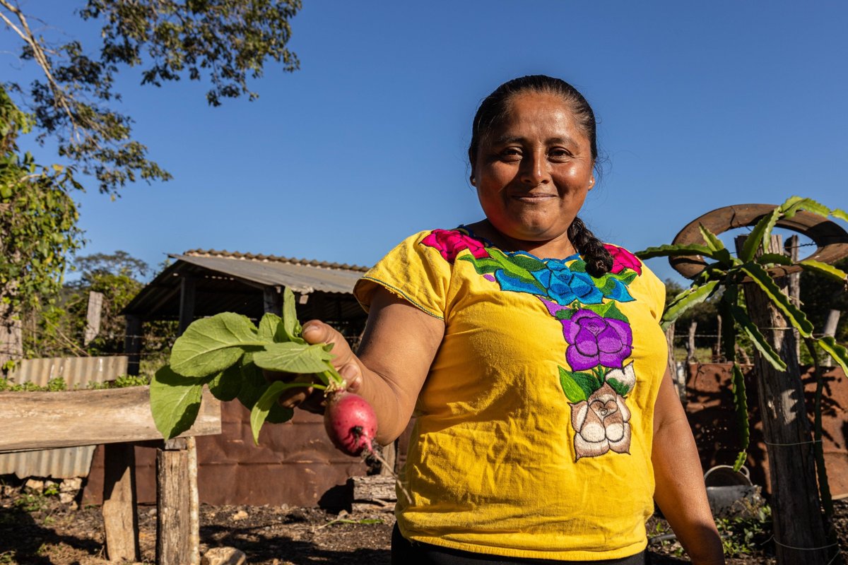 DESDE CAMPECHE, UN CORREDOR QUE CONECTA SELVAS, COMUNIDADES Y ESPERANZA: BALAM BEH INSPIRA LA CONSERVACIÓN EN MÉXICO