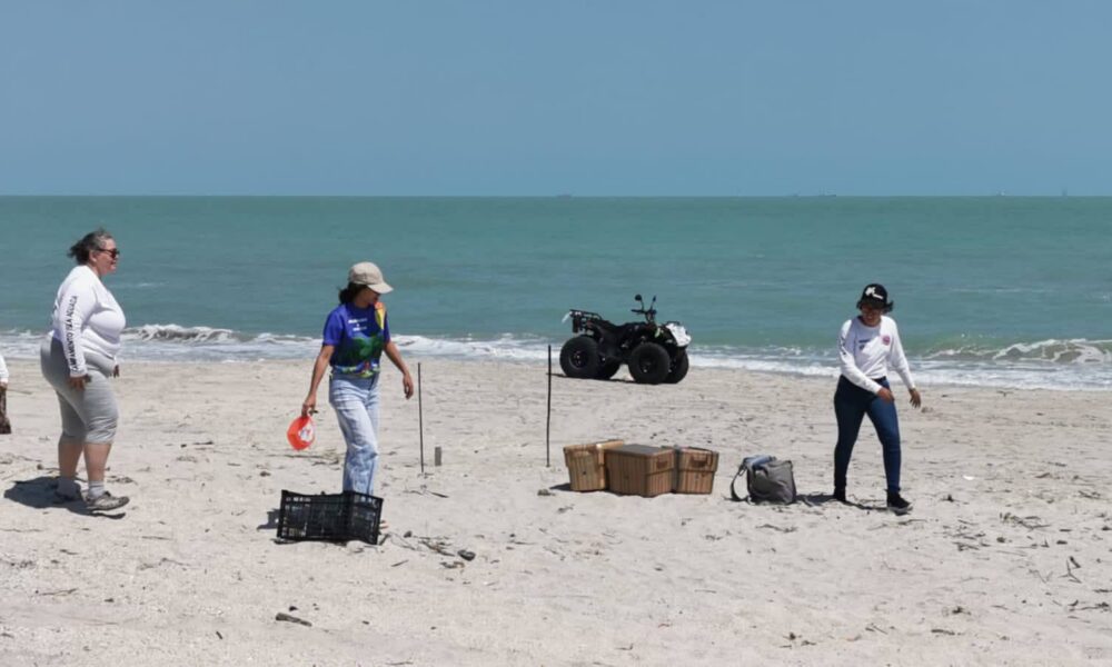 CAMPECHE CON GRAN POTENCIAL PARA PRODUCCIÓN DE HIDRÓGENO VERDE
