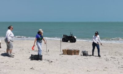 CAMPECHE CON GRAN POTENCIAL PARA PRODUCCIÓN DE HIDRÓGENO VERDE