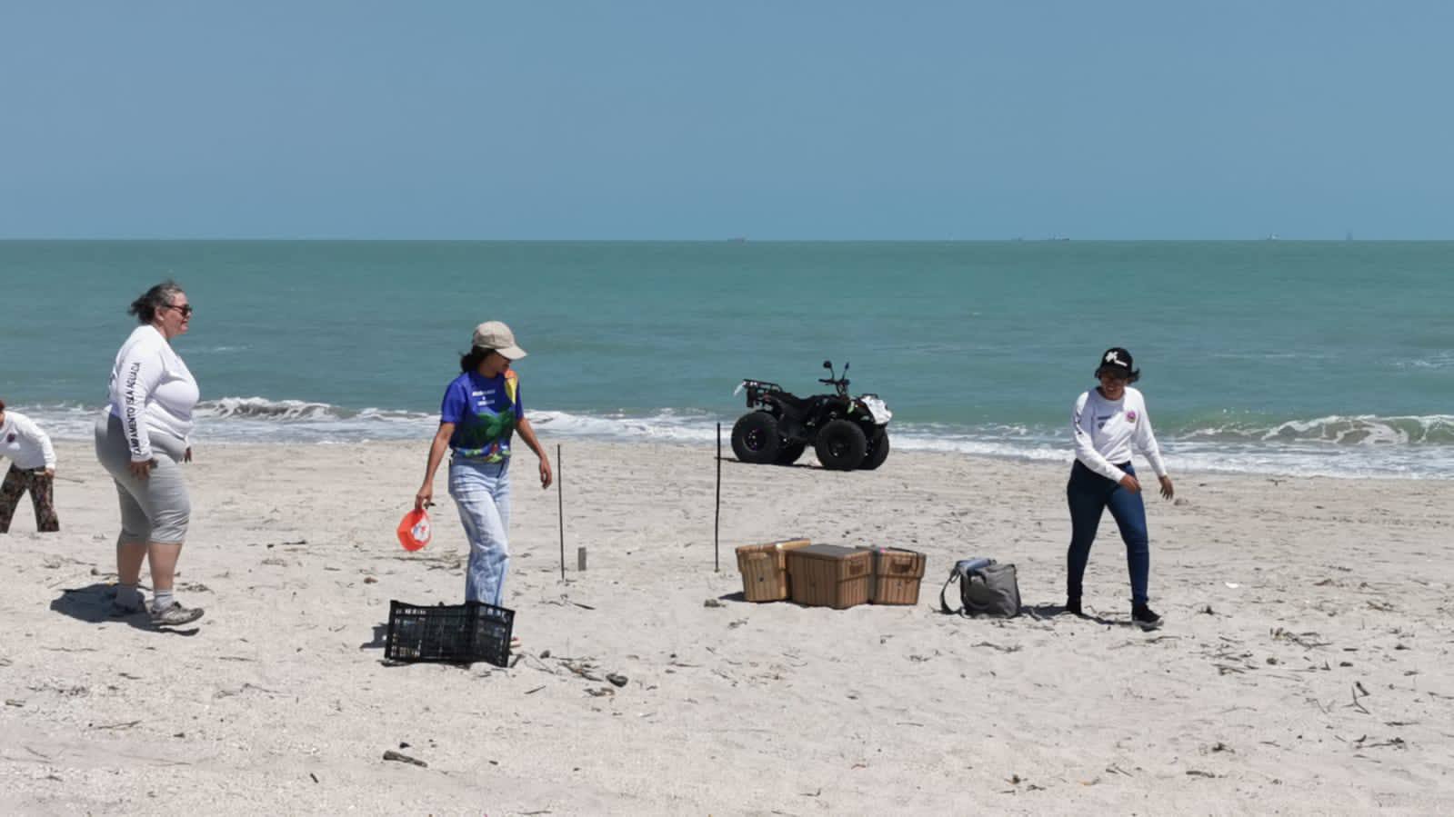 CAMPECHE CON GRAN POTENCIAL PARA PRODUCCIÓN DE HIDRÓGENO VERDE