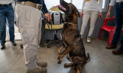 EMBAJADA DE ESTADOS UNIDOS SUPERVISA A AGENTES CANINOS DE LA UNIDAD K9 DE LA SPSC