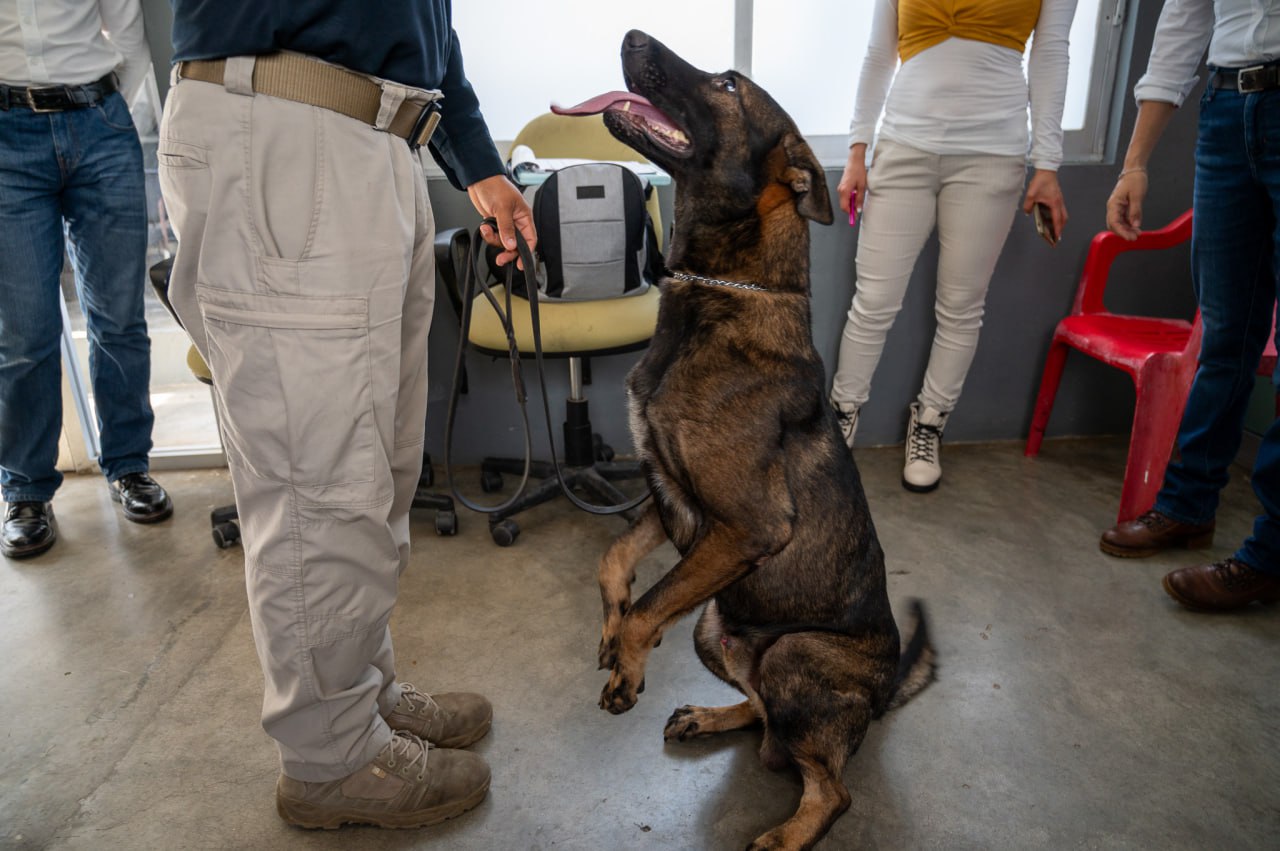 EMBAJADA DE ESTADOS UNIDOS SUPERVISA A AGENTES CANINOS DE LA UNIDAD K9 DE LA SPSC