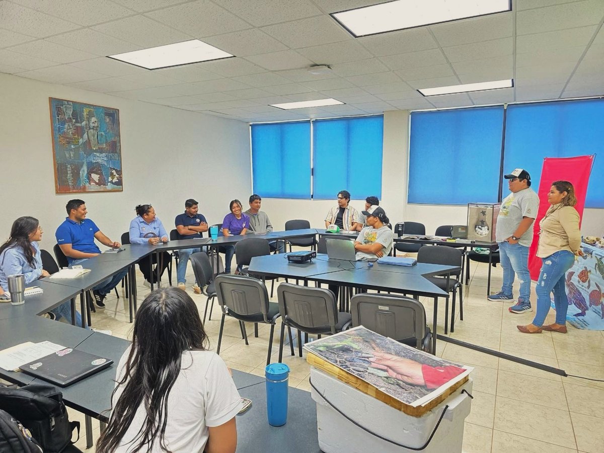 PASIÓN POR LA NATURALEZA: VOLUNTARIOS LISTOS PARA PROTEGER TORTUGAS MARINAS
